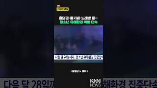 경남도 특사경, 청소년 유해환경 집중 단속 / KNN