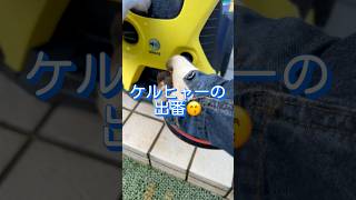 芝生ピーク映え作業【４】ケルヒャーぶっ放す💦 芝生観察8月17日