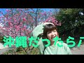 nanami桜並木散歩