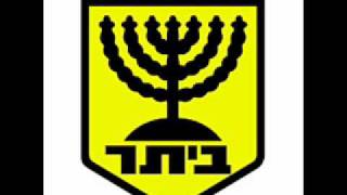 אבי ביטר-אני רואה צהוב רק בעיניים