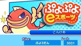 【凝視】ぷよぷよの生放送【ぷよぷよeスポーツ】