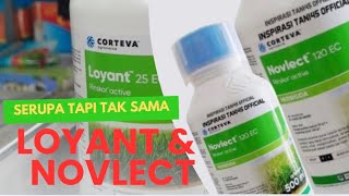 Perbedaan Herbisida Novlect \u0026 Loyant