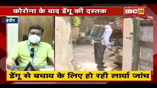 Indore में Corona के बाद Dengue की दस्तक | डेंगू से बचाव के लिए हो रही लार्वा जांच