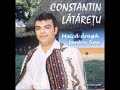 la stejarul de pe plai constantin lataretu