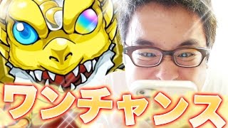 【モンスト】狙うはアリス！１日限定！金卵確定ワンチャンスガチャを引いてみたぞ！