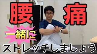 【腰痛治し方】一緒にストレッチしましょう！　【腰痛 ぎっくり腰 撲滅】整体院Honesty オネスティ  大和市南林間駅東口徒歩1分、中央林間駅電車１分