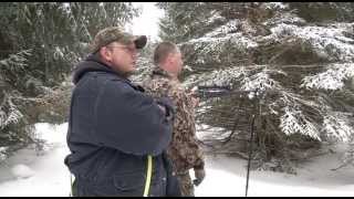 Cheboygan ranch still fighting state over wild boar ban