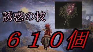 【ELDEN RING】誘惑の枝をカンストさせた【ゆっくり実況】