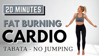 🔥20 Min FAT BURNING CARDIO for WEIGHT LOSS🔥TABATA WORKOUT🔥NO SQUATS/LUNGES🔥NO JUMPING🔥NO REPEATS🔥