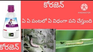 coragen insecticide full details in telugu #raythu #coragen #farming #telugu #shortsvideo #padipanta