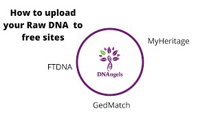 How to upload your raw DNA from Ancestry.com to MyHeritage, FTDNA and GedMatch. 11/20/2020