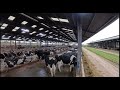 UK group trip, OAD to fully housed 3X/day milking 770 cows