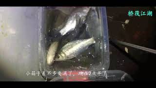 橋筏釣魚，這大半夜咋都不睡覺，一人釣魚兩萬多人跟著熬夜