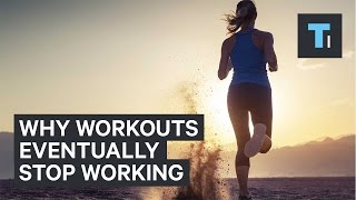 Why workouts eventually stop working