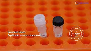 SeekOneTM DD Single Cell Multiome ATAC + RNA V1 1— Workflow Series 03 Prepare The Single Nucleus Mix