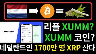 리플 XUMM 지갑 출시. 네덜란드, 암호화폐 금지령 깨고 유럽 최초 중앙은행 도입. 네덜란드인 1700만 명이 XRP로 몰려온다.(feat. XUMM 코인)