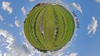 Organic Farm 360