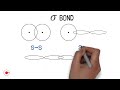 Chemical Bonding and Molecular Structure [Complete] in Just 30 Minutes