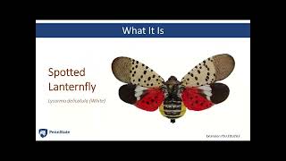 2023 Invasive Insect Webinar Series: Day 2 - Spotted Lanternfly Mgmt, Entomopathogens, Biopesticides