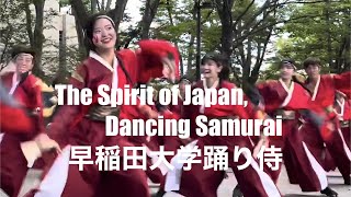 全身全霊、笑顔と勇気で舞う！Dance with all your heart, soul, smiles and courage! 原宿表参道元氣祭スーパーよさこい