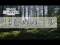 はじめの一歩Hazimenoippo／歌いだし♪ちいさなとりが／見やすい歌詞付き／【こどものうたkid's song】