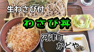 【伊豆・河津】あの有名な『わさび丼』を食べてきました！河津桜もキレイです。【かどや】