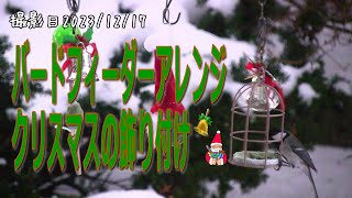 バードフィーダーアレンジ⁉︎クリスマスの飾り付け。シジュウカラ・ハシブトガラ・ヒヨドリ【シニアのお庭野鳥観察】