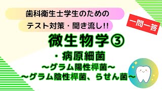 歯科衛生士学生のためのテスト対策、聞き流し【微生物学③】