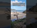 Tidal River to Squeaky Beach Wilsons Promontory #shorts #youtubeshorts #melbourne #victoria #Squeaky