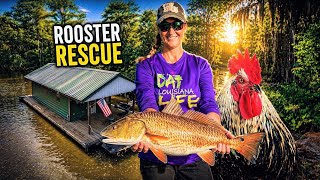 Houseboat Rooster Rescue & Louisiana Marsh Fishing Action! (Catch & Cook)