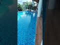 suasana kolam renang shorts kolam viralvideo