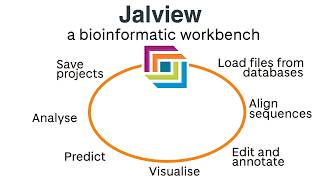 Introducing Jalview