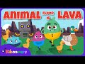 THE KIBOOMERS Floor is Lava Animal Dance - Preschool Fun