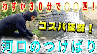 【わずか３０分で！】コスパ抜群！河口のつけばり！