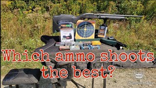 What 20 ga sabot slug shoots the best in a Remington 1187?