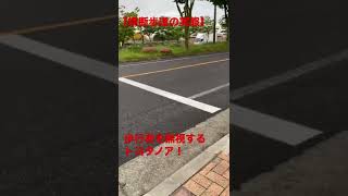 【横断歩道の実態】歩行者を無視するトヨタノアドライバー💦#shorts