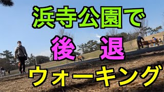 浜寺公園で後退ウォーキングをしてみた