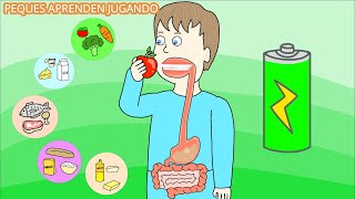 El sistema digestivo para niños.  del aparato digestivo y sus partes. De PequesA