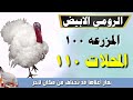 اسعار الفراخ اليوم سعر الفراخ البيضاء اليوم الجمعه 27 12 2024 في مصر جمله وقطاعي