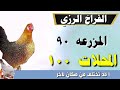 اسعار الفراخ اليوم سعر الفراخ البيضاء اليوم الجمعه 27 12 2024 في مصر جمله وقطاعي