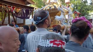 深川八幡祭り（富岡八幡宮例大祭）宮元 2023/8/12 c8