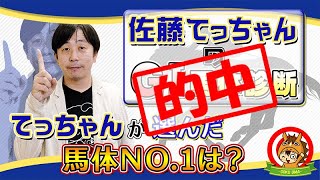 的中！【2021スプリンターズＳ】佐藤てっちゃんのG1馬体診断