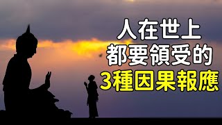 不要輕視因果報應，否則將承受嚴重的後果！人在世上，每個人都要領受的3種因果報應｜好東西 佛說