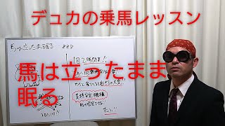 【乗馬】馬は立ったまま眠る【馬ブログ】