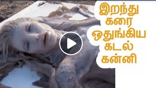 கடல் கன்னிகள் பற்றிய 10 அரிய வீடியோக்கள் | 10 Real life Mermaids Caught on camera | facts in tamil