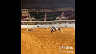 AMHA Mini Horse World show in ft worth. Hunter round for youth 12 and under