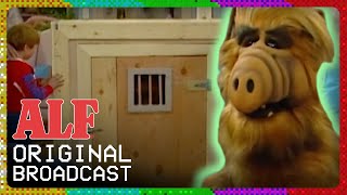 Wild Thing | ALF | Original Broadcast FULL Episode: S1 Ep19