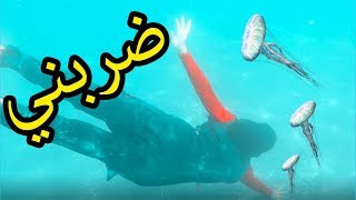 Vlog 6: كنت كنعوم و ضربني قنديل البحر في شمال المغرب | TARGHA