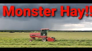 Cutting Monster Hay 2020  Exhaust Repair!!