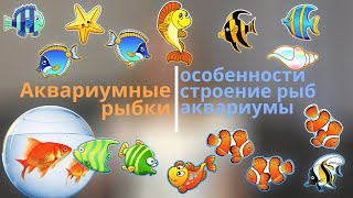 Аквариумные рыбки для детей. Особенности строения, аквариумы. Пальчиковая гимнастика. Видеозанятие.